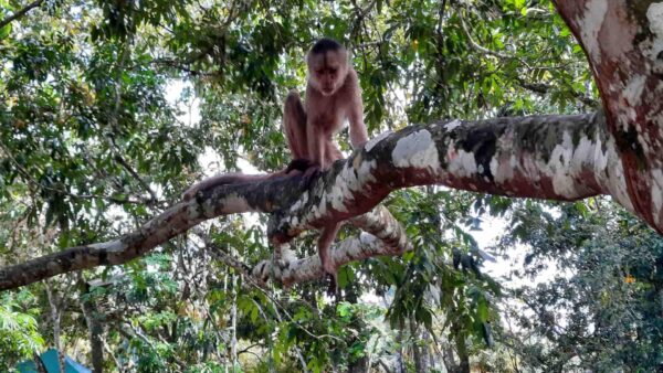 Plan Provincia del Napo